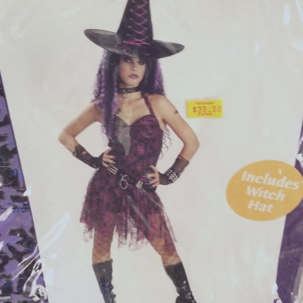 Women's Halloween Costume Size Med, Goth Rockin Witch, Like NEW